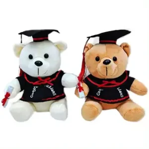 Cute Graduation Teddy Bears Teddy House Sri Lanka